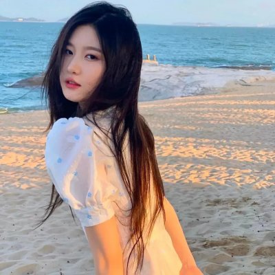 美国豚鼠